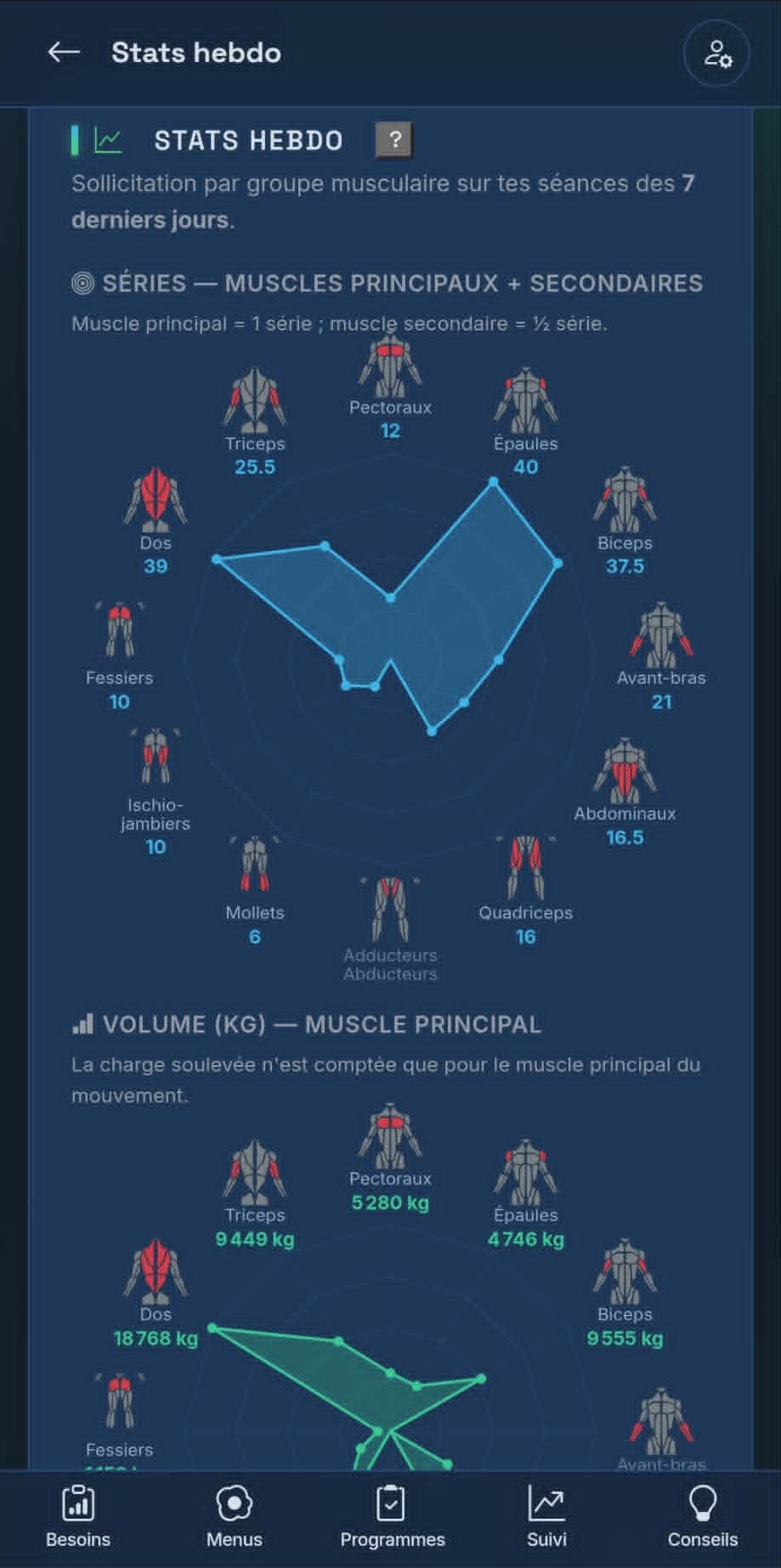 Statistiques par groupe musculaire